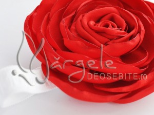 Bentita Floare Beautiful Red Rose Detail