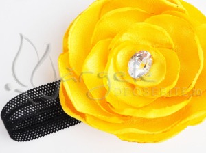 Bentita Floare Beautiful Yellow Rose Detail